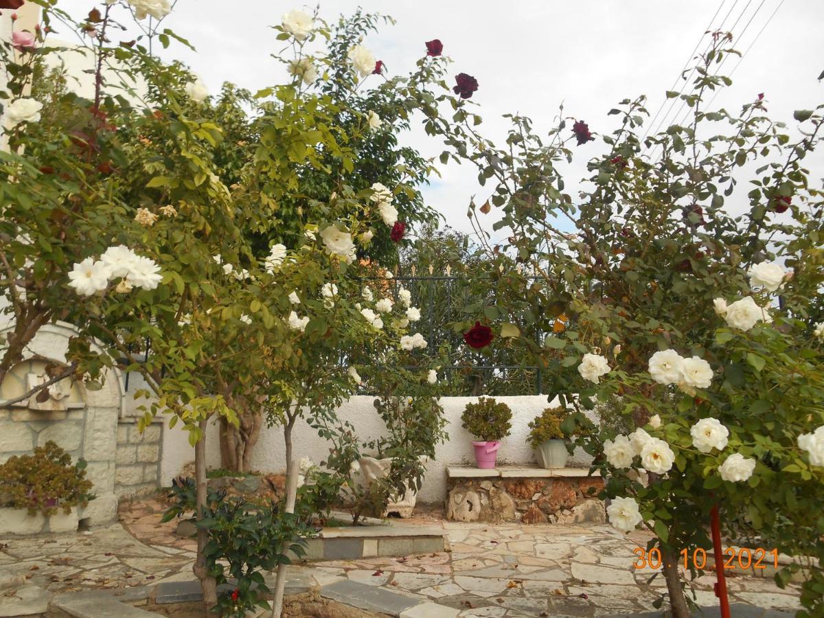 Melios Rooms Petalídhion Екстериор снимка